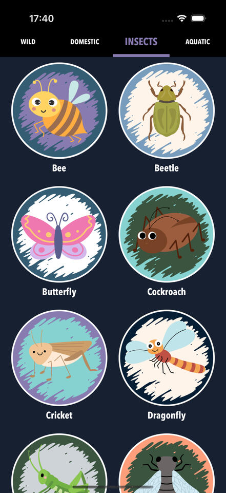 insects insects